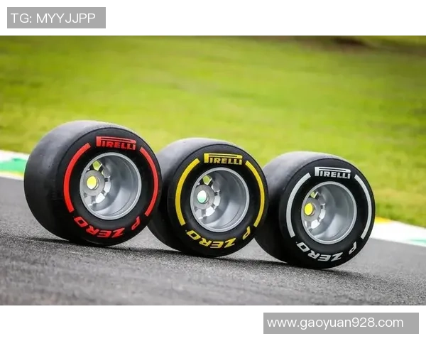 F1赛车轮胎策略的关键作用与熊猫体育的深度解析